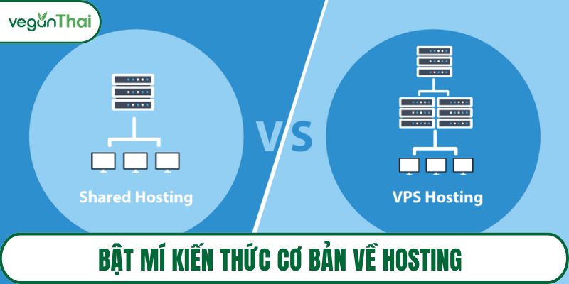 Bật mí kiến thức cơ bản về hosting