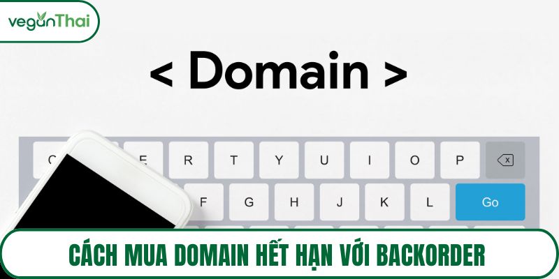 Cách mua domain hết hạn với Backorder