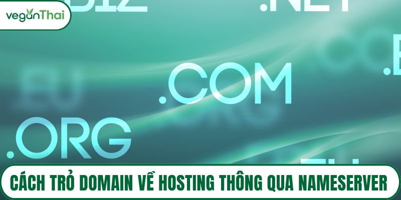 Cách trỏ domain về hosting thông qua Record A