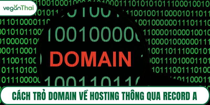 Cách trỏ domain về hosting thông qua Nameserver