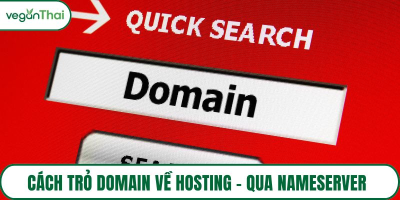 Cách trỏ domain về hosting