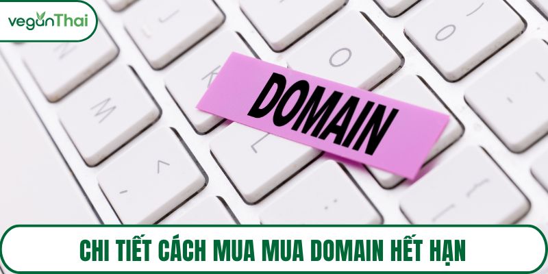 Chi tiết cách mua mua domain hết hạn