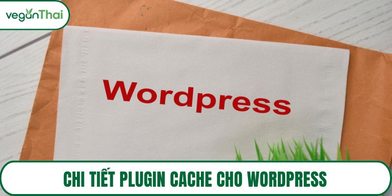 Chi tiết plugin cache cho WordPress