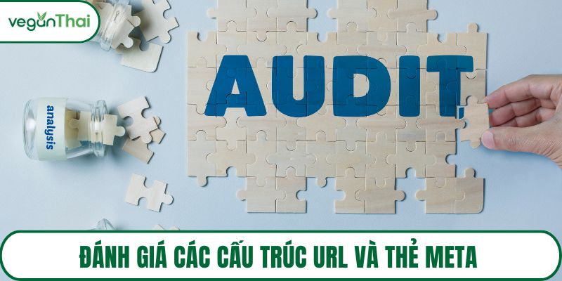 Đánh giá các cấu trúc URL và thẻ meta