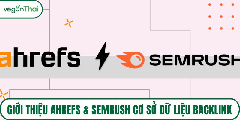 Giới thiệu Ahrefs & Semrush cơ sở dữ liệu backlink