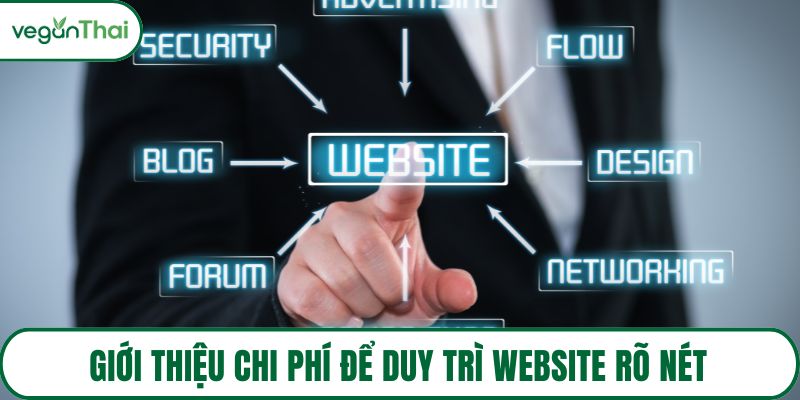 Giới thiệu chi phí để duy trì website rõ nét