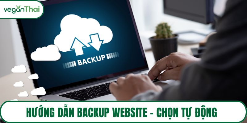 Hướng dẫn backup website