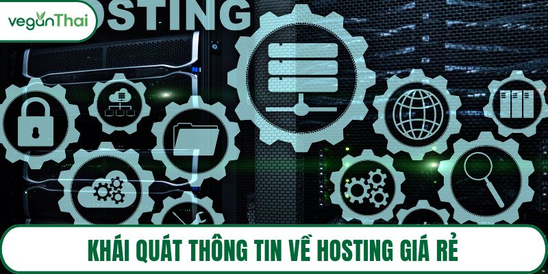 Khái quát thông tin về hosting giá rẻ