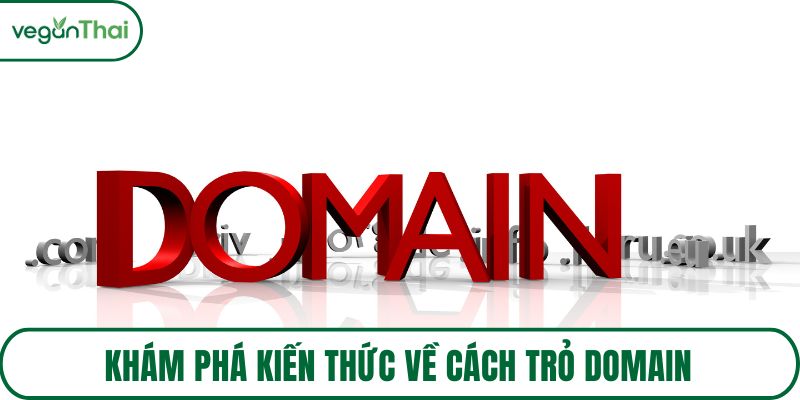 Khám phá kiến thức về cách trỏ domain