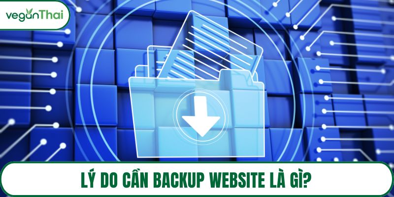 Lý do cần backup website là gì?