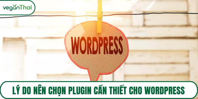 Lý do nên chọn plugin cần thiết cho WordPress
