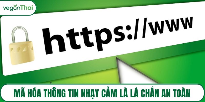 Mã hóa thông tin nhạy cảm là lá chắn an toàn