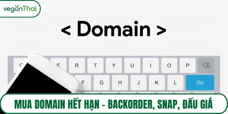 Mua domain hết hạn