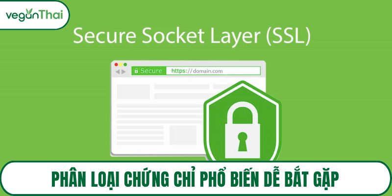 Phân loại chứng chỉ phổ biến dễ bắt gặp