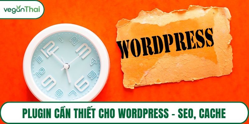 plugin cần thiết cho WordPress