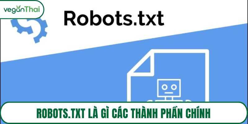 Robots.txt là gì các thành phần chính