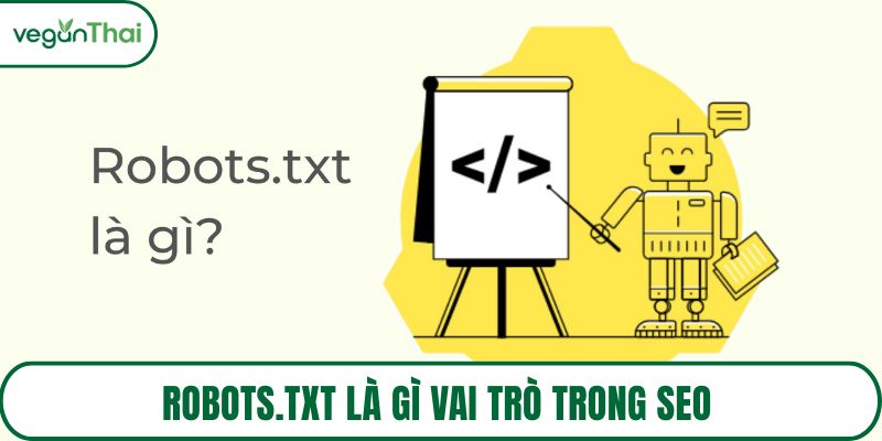 Robots.txt là gì vai trò trong SEO