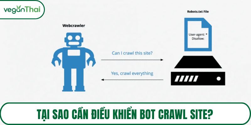 Tại sao cần điều khiển bot crawl site?