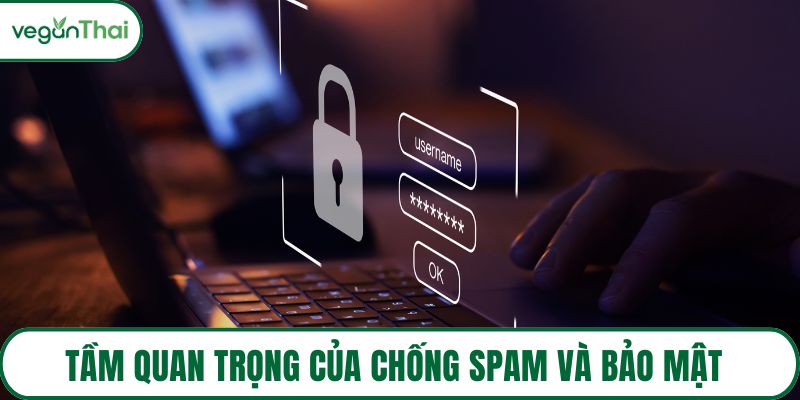 Tầm quan trọng của chống spam và bảo mật form liên hệ