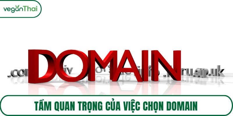 Tầm quan trọng của việc chọn domain