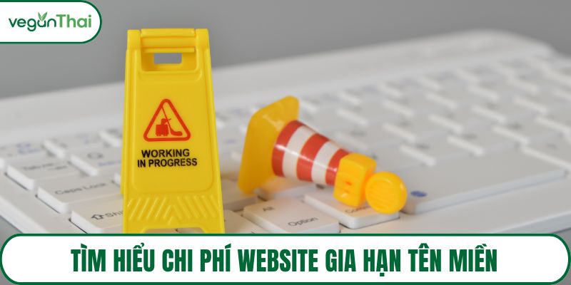 Tìm hiểu chi phí website gia hạn tên miền