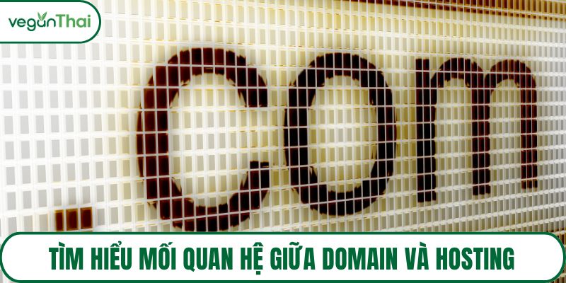 Tìm hiểu mối quan hệ giữa domain và hosting
