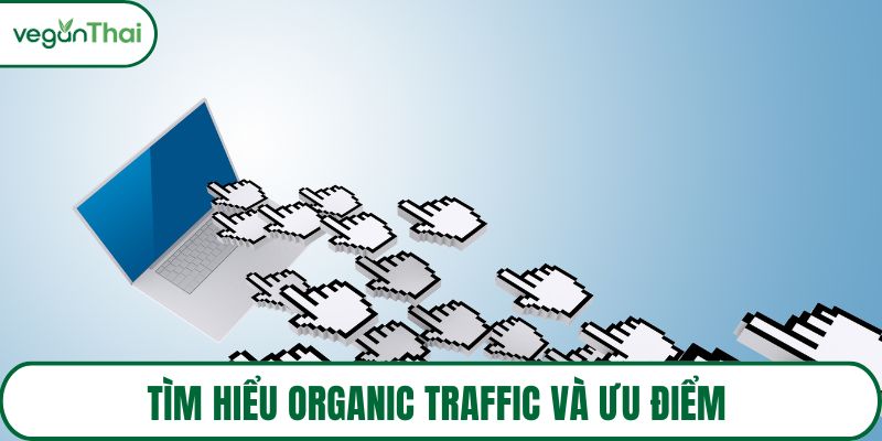 Tìm hiểu Organic Traffic và ưu điểm
