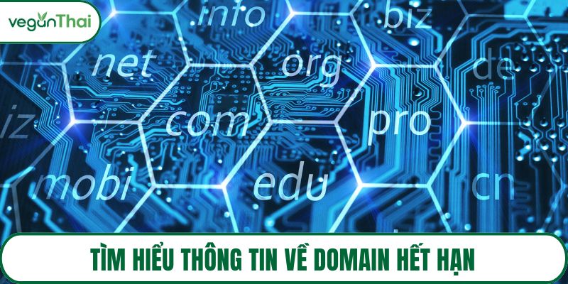 Tìm hiểu thông tin về domain hết hạn