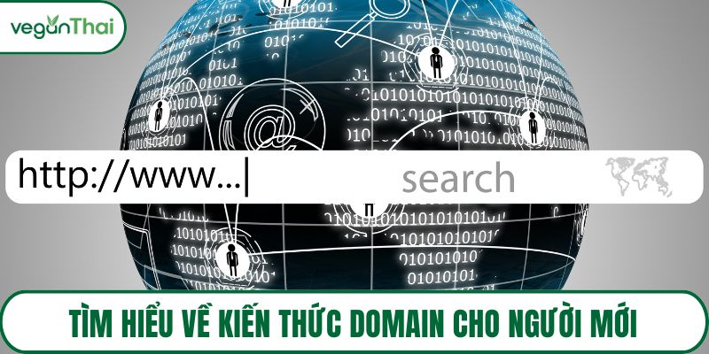Tìm hiểu về kiến thức domain cho người mới