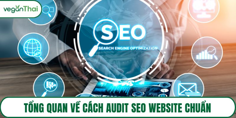 Tổng quan về cách audit SEO website chuẩn
